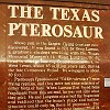 O Pterosauro do Texas.