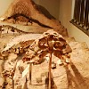DSC 0492