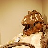 DSC 0494