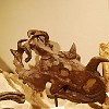 DSC 0495
