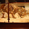 DSC 0500a