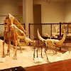 DSC 0501