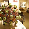 DSC 0503