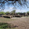 DSC 0316