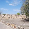 DSC 0321