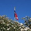DSC 0349