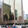 DSC 0008