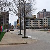 DSC 0041