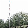 DSC 0048