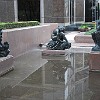 DSC 0063