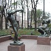 DSC 0064
