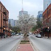 DSC 0095