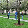 DSC 0132a