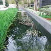 DSC 0135