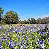 07DSCN0212