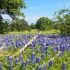 17DSCN0214