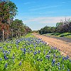 21DSCN0218