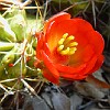 23DSCN0220