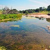 38DSCN0222