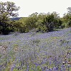 P3290015