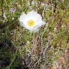 P3290016