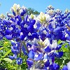 05DSCN0159