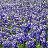 08DSC04096