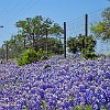 09DSC04097