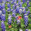11DSC04098