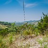 DSC 0015