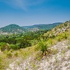 DSC 0017