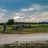 DSC 0020