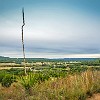 HCSNA02 DSC02241