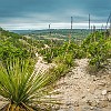 HCSNA04 DSC02245