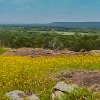 Springtime in the Hill Country. Primavera no Hill Country. : Inks Lake SP