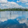ILSP 20 DSC05701 : Inks Lake SP