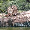 ILSP 16 IMG 0025 : Inks Lake SP, camping