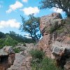 ILSP 17 IMG 0026 : Inks Lake SP, camping