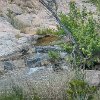 ILSP 18 IMG 0027 : Inks Lake SP, camping