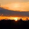 07DSC 2209