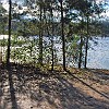 DSC 0001
