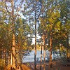 DSC 0005