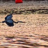 DSC 0025