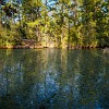 From time to time, we&#39;d stop to take a look at the lake. Vez por outra a gente parava para admirar o lago. : Lake Bastrop South Shore