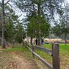 lbss 18 DSC00099 : Lake Bastrop South Shore