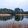 lbss 19 DSC00100 : Lake Bastrop South Shore