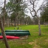 lbss 20 DSC00101 : Lake Bastrop South Shore