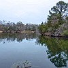 lbss 25 DSC00110 : Lake Bastrop South Shore