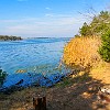 lbss 29 DSC00116 : Lake Bastrop South Shore