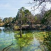 lbss 32 DSC00120 : Lake Bastrop South Shore